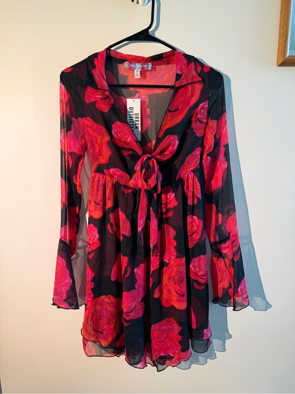 Urban Outfitters Sheer Black Dress with Pink Red Rose Print